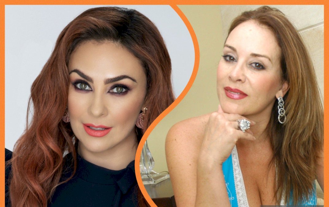 lina-santos-dice-no-guardarle-rencor-a-aracely-arambula-y-revela-como-le-cambio-la-vida-haber-dejado-de-caminar,-por-cuatro-anos