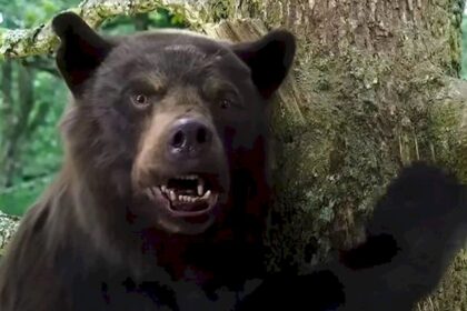 cocaine-bear:-conoce-la-historia-real-de-pablo-eskobear,-el-oso-intoxicado