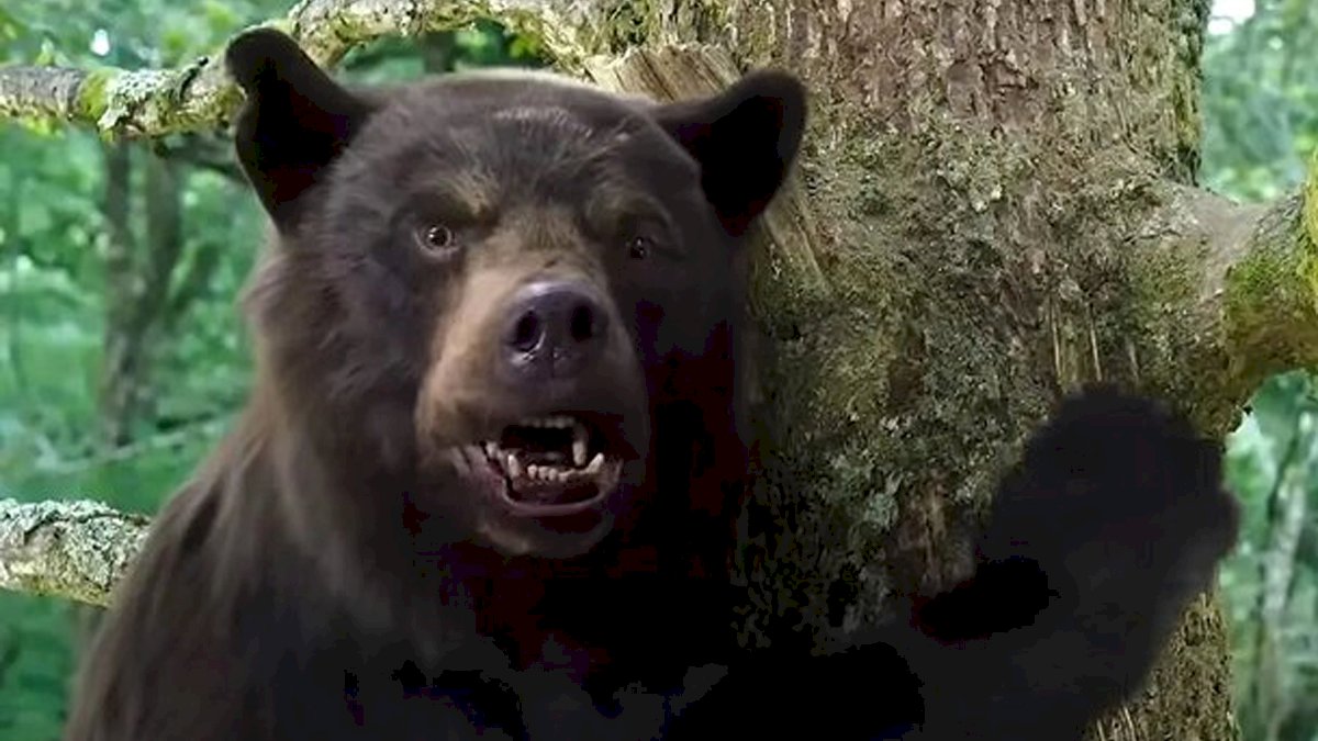 cocaine-bear:-conoce-la-historia-real-de-pablo-eskobear,-el-oso-intoxicado