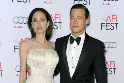 continua-el-drama-de-angelina-jolie-y-brad-pitt-por-el-vinedo-en-francia