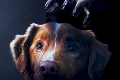 “good-boy”:-el-fenomeno-viral-del-terror-llega-a-los-cines-espanoles-el-17-de-octubre