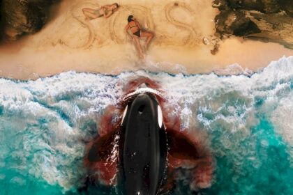 “killer-whale”:-trailer-y-poster-del-nuevo-thriller-acuatico-de-lionsgate