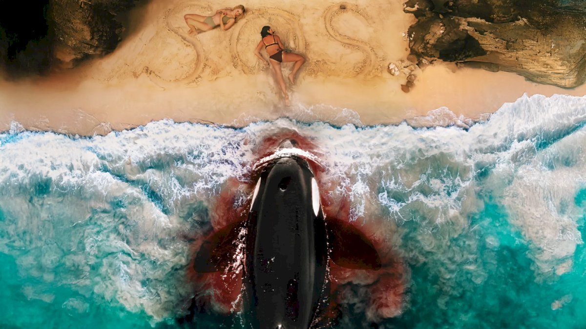 “killer-whale”:-trailer-y-poster-del-nuevo-thriller-acuatico-de-lionsgate